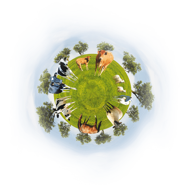 planete d'animaux