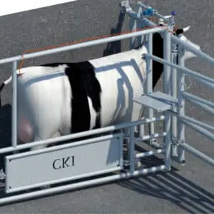 boxe de soin vache