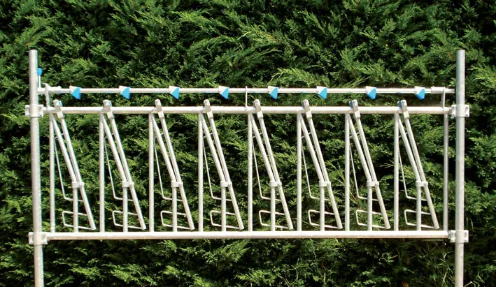 cornadis chèvres chevrettes